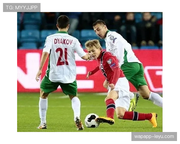 奥德加德技术优势突出 同位置球员中表现抢眼