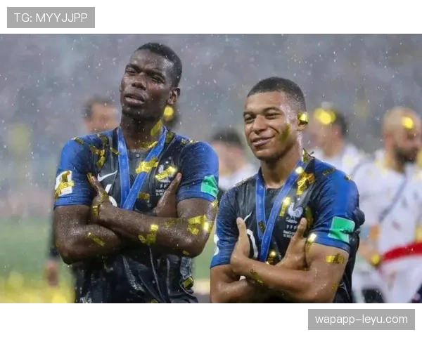 博格巴身体对抗显威力，助力防线稳固状态持续攀升引关注