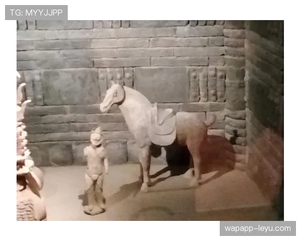 球场探秘：走进历史殿堂，感受传奇背后的精彩瞬间