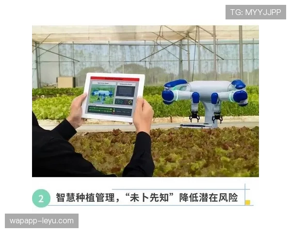 赖斯技术助力现代农业，智慧种植持续提升高效丰收水平